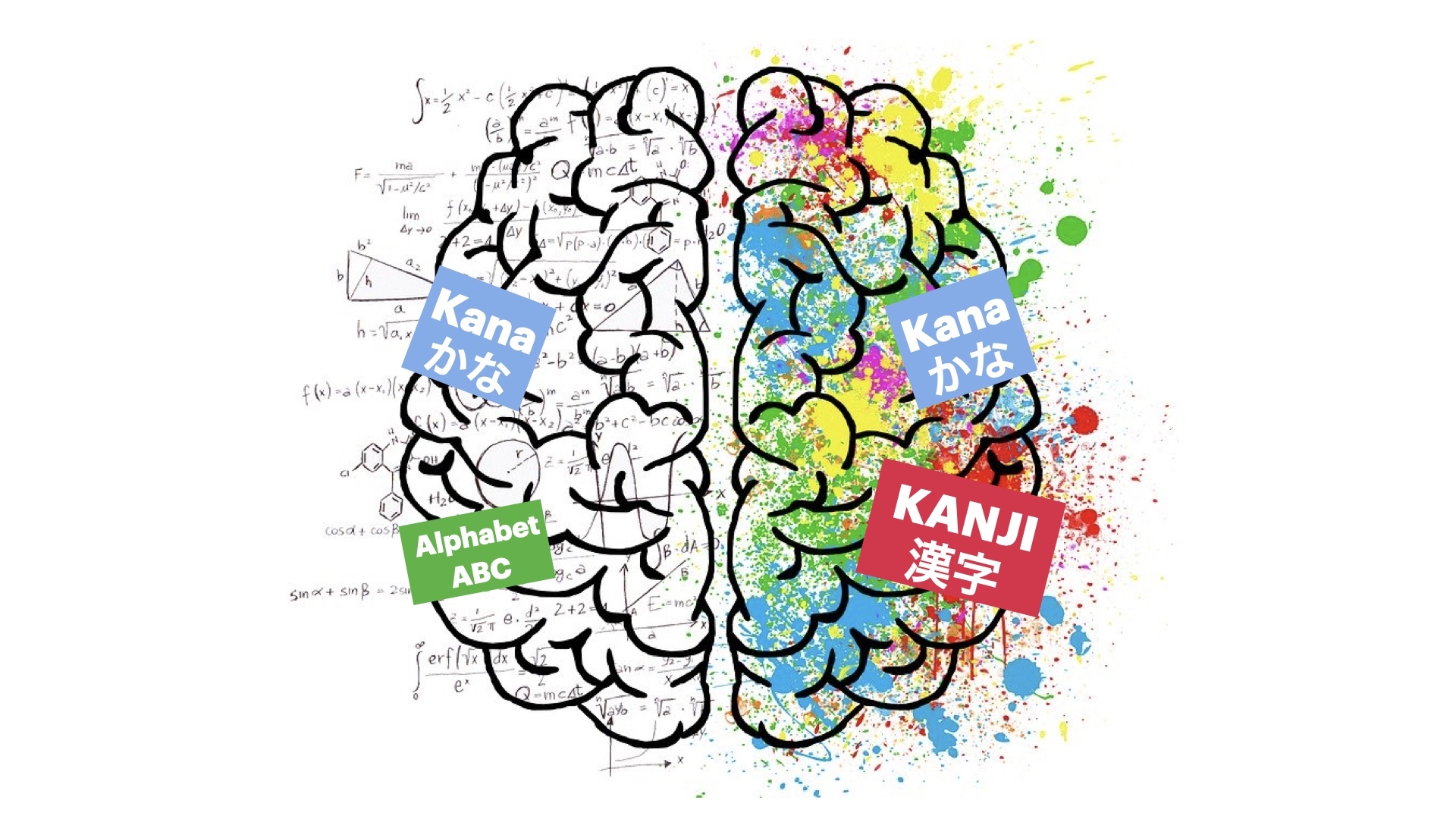 Apprendre le japonais : quels sont les effets sur le cerveau ? - Blog de  J&rsquo;apprends le japonais.com