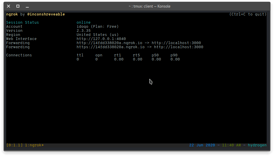 ngrok command output