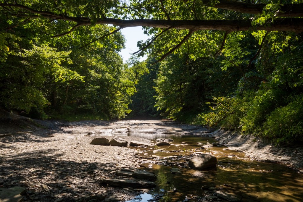 Wintergreen Gorge, Harborcreek Township, Erie County, Pennsylvania