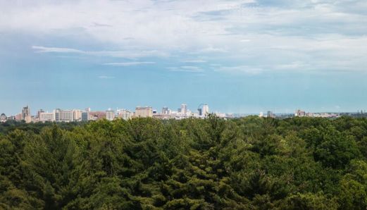 South Skinker 701 Blog-10_preview