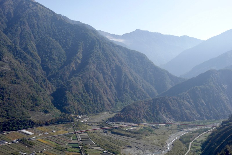 plumblossom_11 plumblossom_11