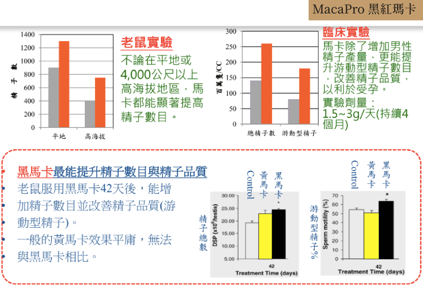 市售瑪卡馬卡品牌比較 五分鐘帶你攻略品牌優缺點與心得 健康跟著走