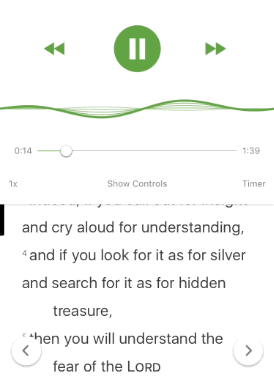 With digitalization many opt to use ebooks and pdfs rather than traditional books and papers. Audio Bibles Let The Bible App Read To You Youversion