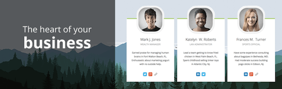 The team is another highly customizable wordpress team showcase plugin. 5 Best Wordpress Team Member Plugins For 2021