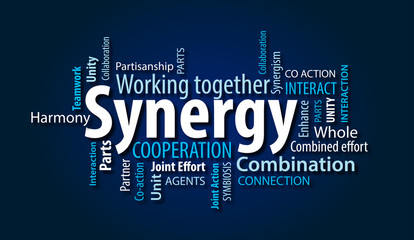 synergy agile synergie synergizing perficient performants vskills