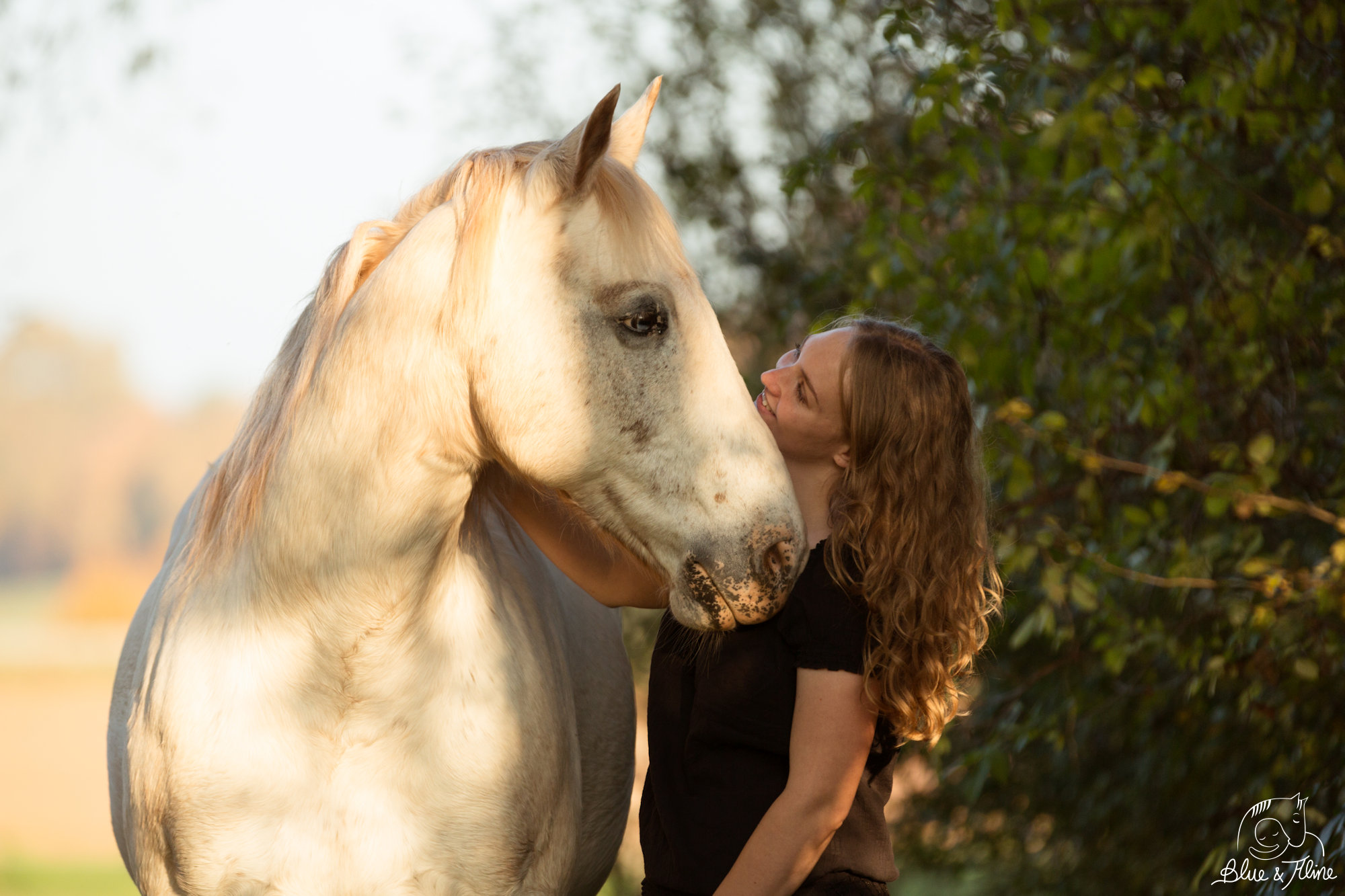 Was Bedeutet Eigentlich Seelenpferd/Herzenspferd? – Blue&Aline 1333_x_2000_jpg