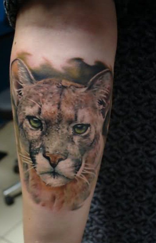 30+ Amazing Puma Tattoos With Meaning - Body Art Guru 800_x_514_jpg