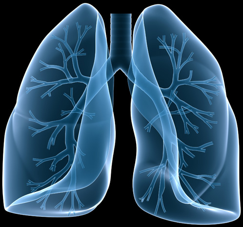 Steam Cleaning Comes to Lungs | David Boles, Blogs