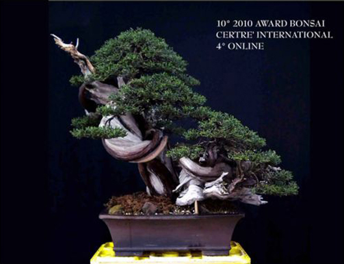 Browse the dispensary menu or find more bonsai cultivation products at leafly. Bonsai Hot Bed Bonsai Winners Bonsai Bark