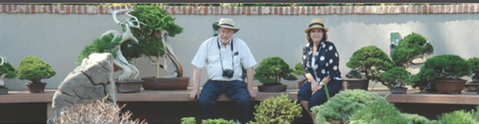 And studied with chase rosade of rosade bonsai in new hope, pa. Old Bonsai Beauty Site Wide Sale Ends Tomorrow Bonsai Bark