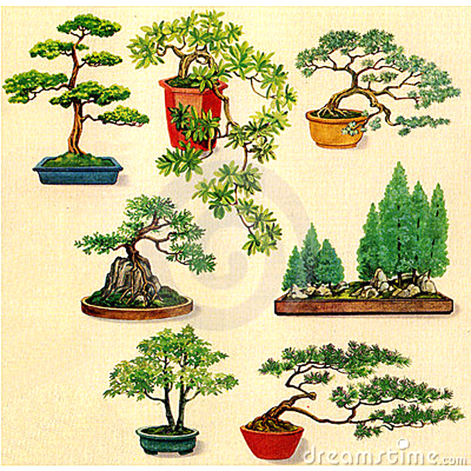 Bonsai Tree Drawing Simple