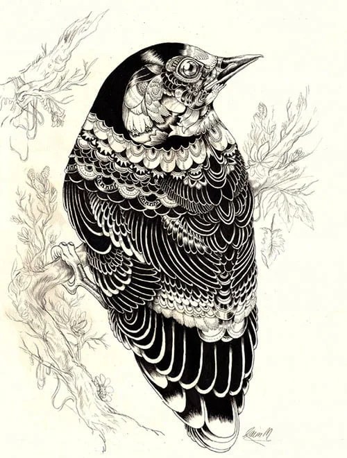 See more ideas about animal drawings, drawings, animal art. Incredibly Amazing Animal Illustrations By Iain Macarthur
