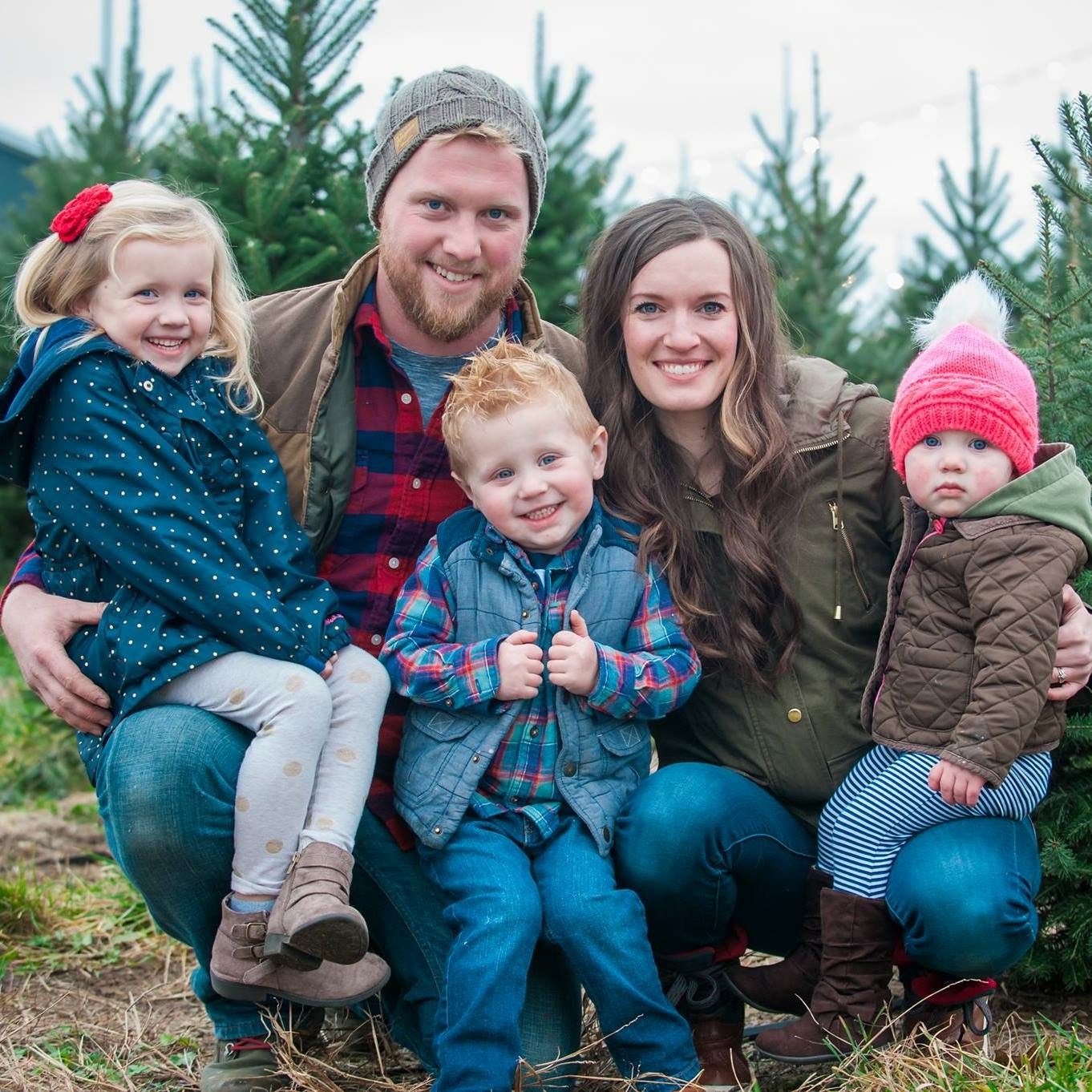 It's always fun to put up the holiday tree, but taking it down? Christmas Trees & Festivities | Bosch's Countryview