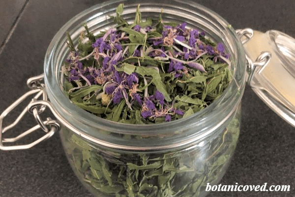 ферментация иван-чая замораживанием