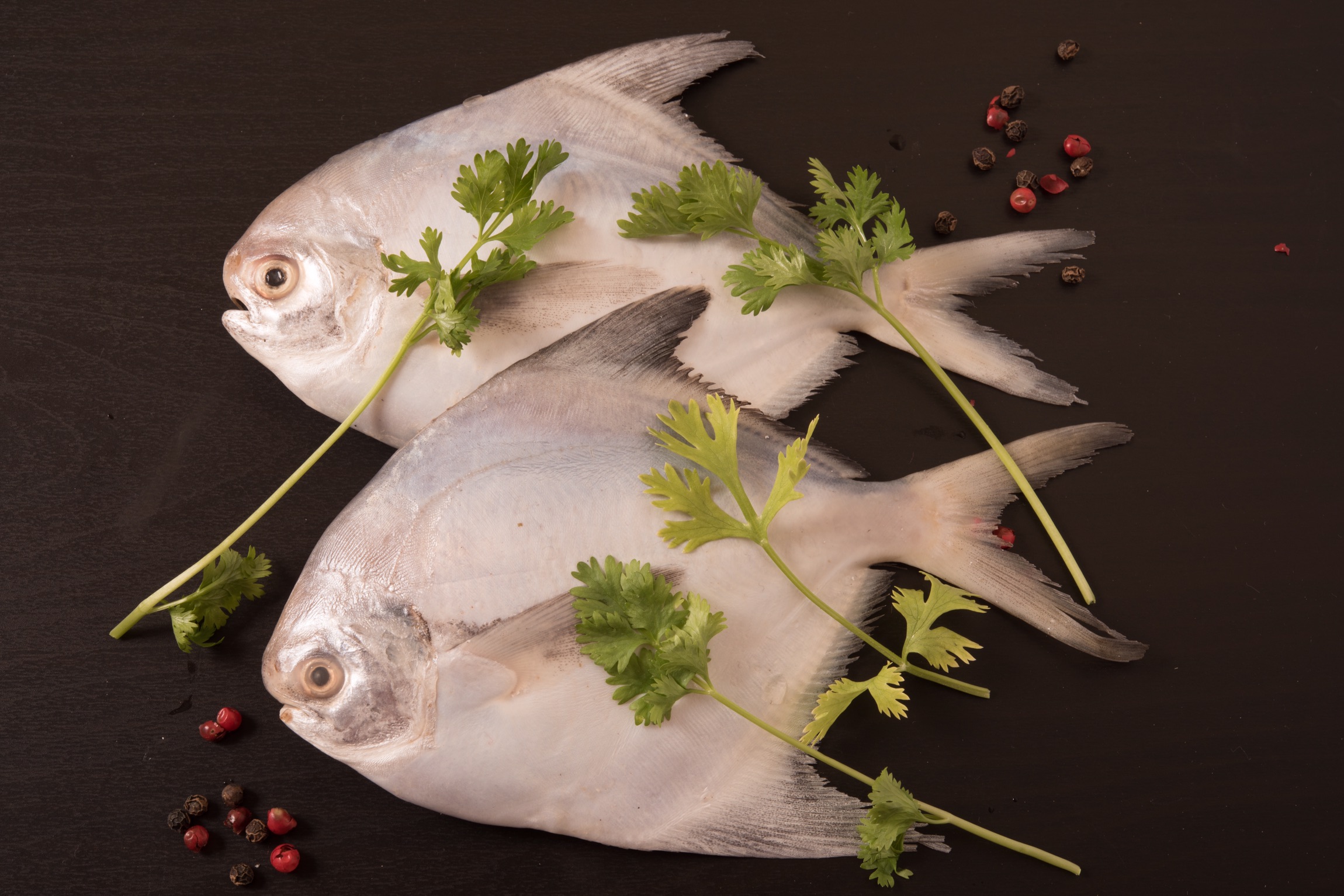 Buy Silver Pomfret 400500g each Online at the Best Price, Free UK