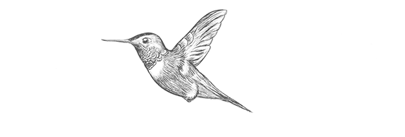 Vom continua să îl supraveghem zilele următoare, a spus dr. Dr Sergiu Stoica Brain Institute