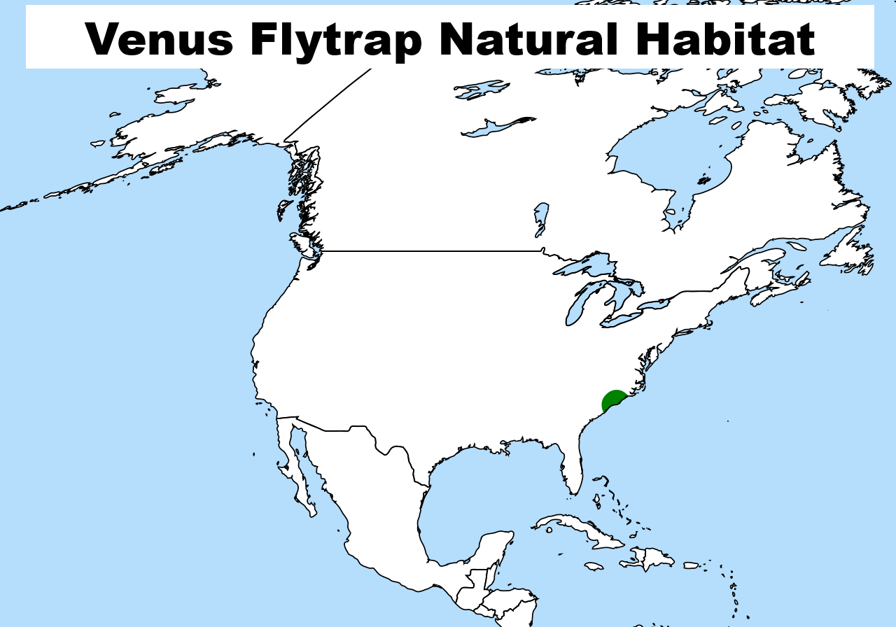 خريطة الموائل الطبيعية لكوكب فينوس صائدة الذباب خريطة الموائل الطبيعية لكوكب فينوس صائدة الذباب
