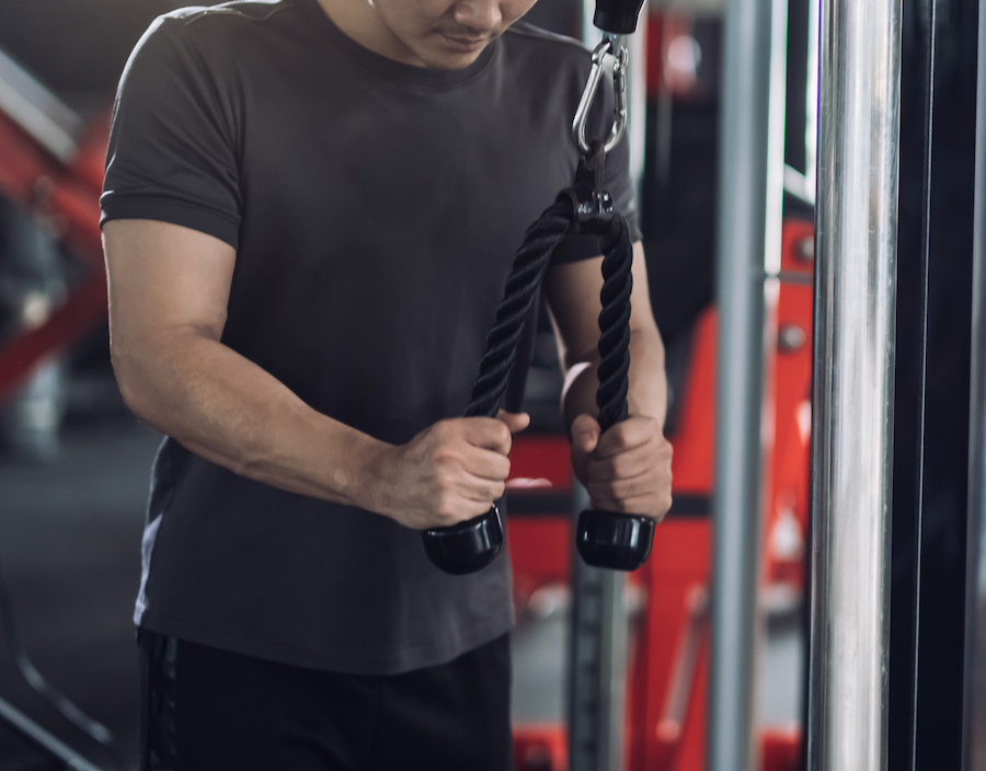 15+ Awesome Ab Crunch Bench With Handles : Reverse Crunch Bench Exercise - YouTube - We may earn commission from links on this page, but we only recommend products we back.