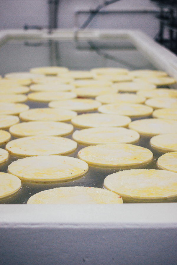 a simple cheese plate + wisconsin cheese tour brooklyn supper