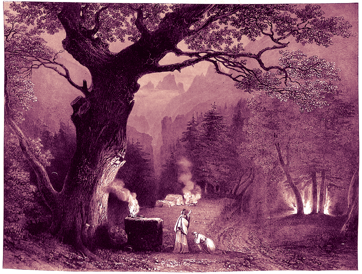 Ciclo L'universo Di César Franck (1822-1890) - Bru Zane 543_x_717_png