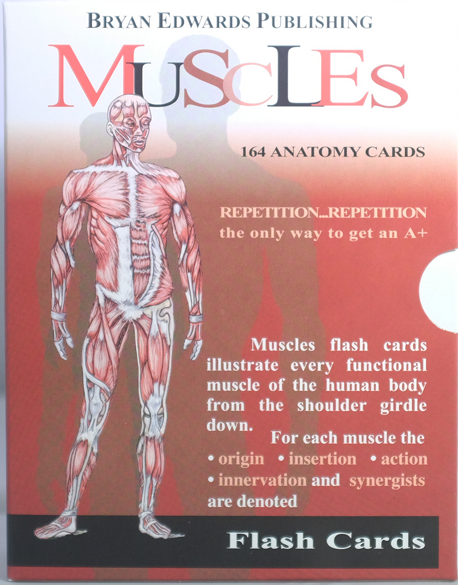 Anatomy And Physiology Study Guideincludes Flash Cards Epub Download