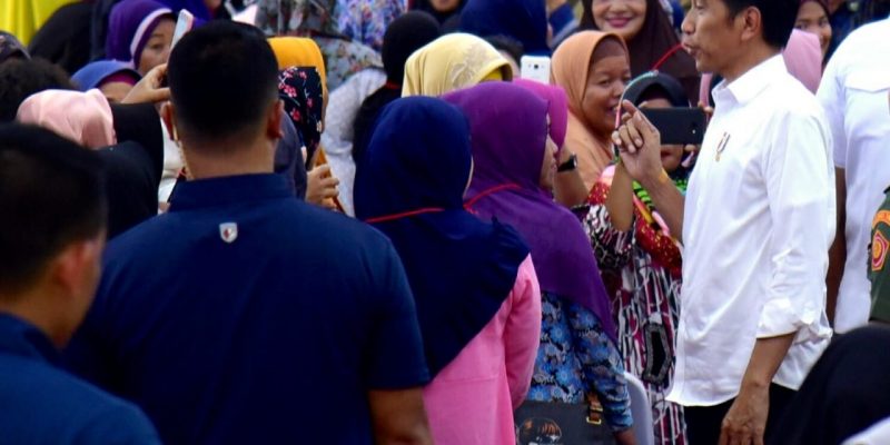 3. Strategi Pengembangan Agrikultur di Indonesia