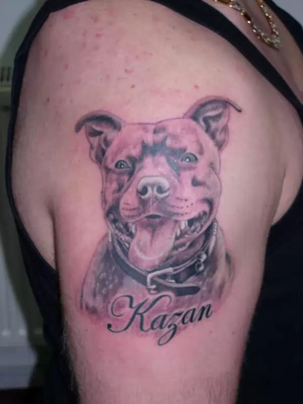 © photos and designs are copyrighted by their respective owners and are . The 12 Coolest Staffordshire Bull Terrier Tattoo Designs