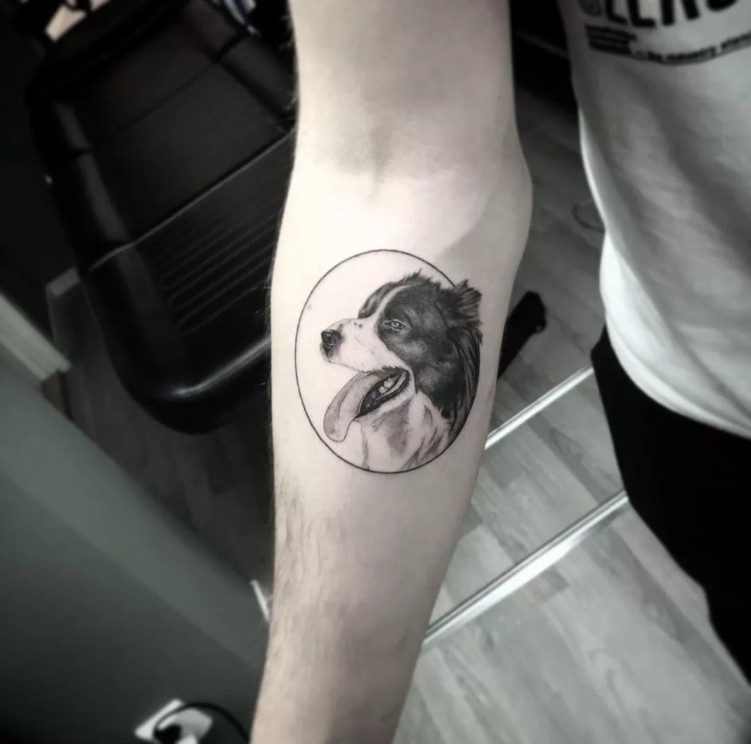 15 Border Collie Tattoo Ideas - Page 3 Of 5 - Buzzsharer.com 1069_x_1080_jpg