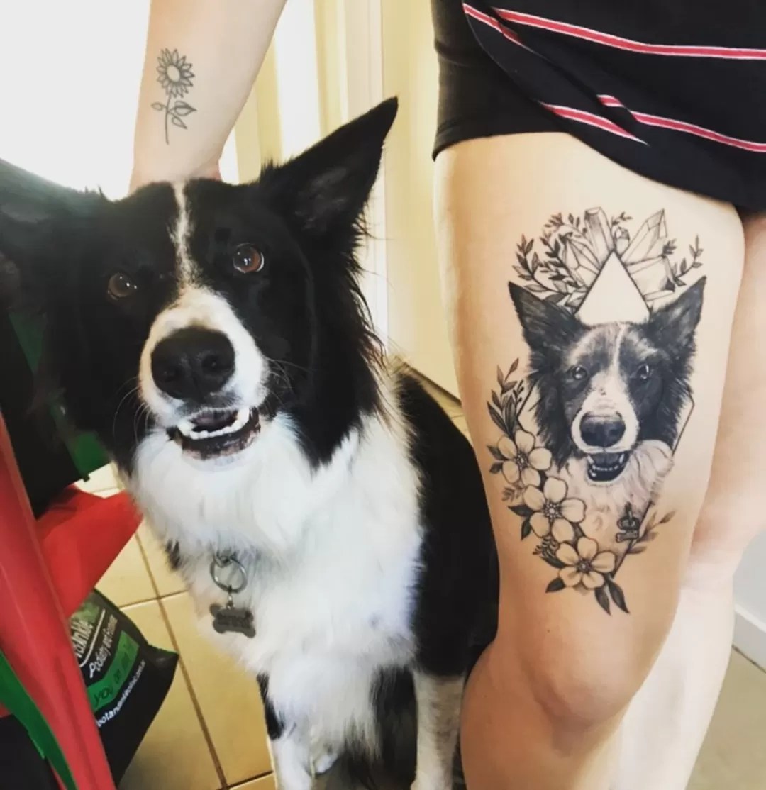 15 Border Collie Tattoo Ideas - Page 4 Of 5 - Buzzsharer.com 1114_x_1080_jpg