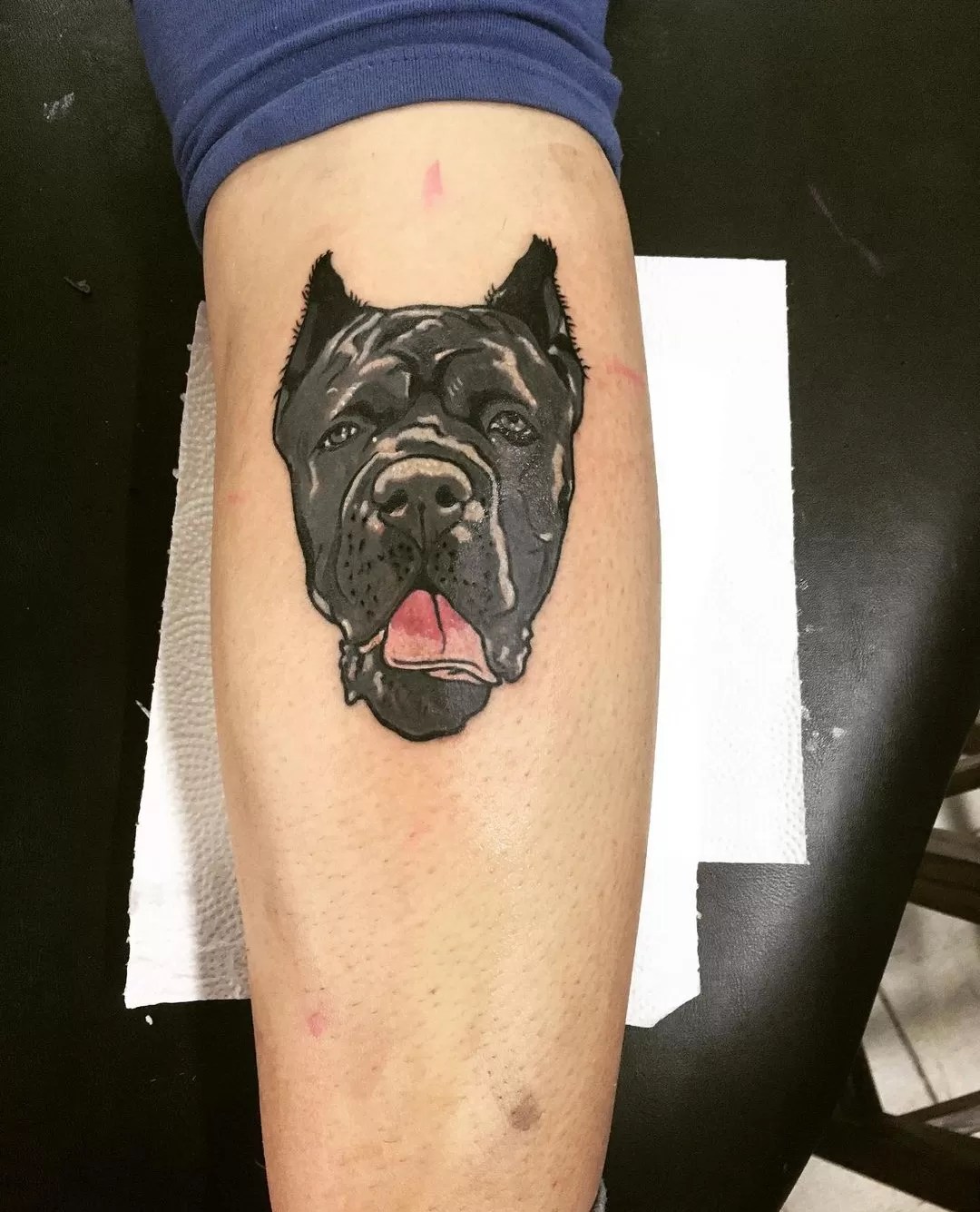 15 Tattoo Ideas With Cane Corso - Buzzsharer.com 1335_x_1080_jpg