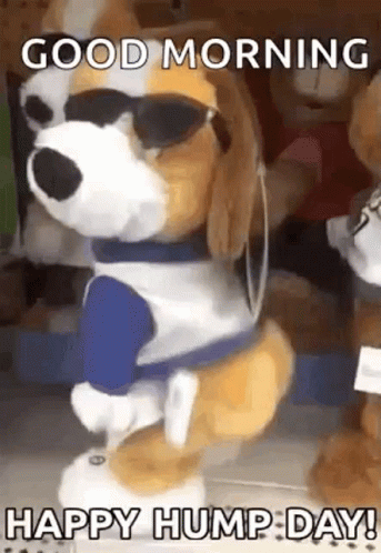 Good Morning Hump Day Gifs Tenor
