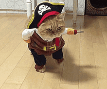 Gatto Gifs Tenor