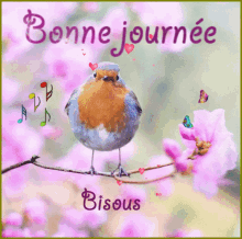 Bonne Journee Gif Bonne Journee Discover Share Gifs