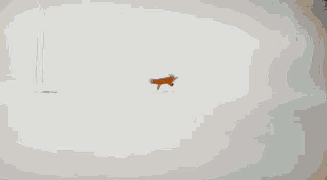 Minecraft Fox Gif Minecraft Fox Fox Minecraft Discover Share Gifs