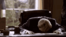 Banging Head Gifs Tenor