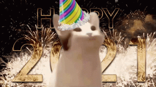On the pop cat bandwagon! Pop Cat Gif Pop Cat New Discover Share Gifs