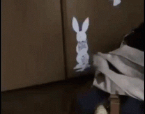 Coming Owl Run Gif Coming Owl Run Here Discover Share Gifs