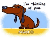 Marco Gifs Tenor