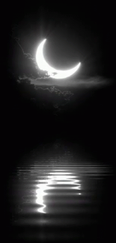 Free for commercial use ✓ no attribution required . Night Nature Gif Night Nature Moon Discover Share Gifs