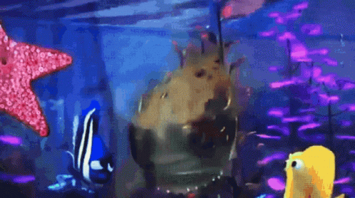 Puffer Fish Gifs Tenor