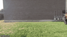 Gorilla Beating Chest Gif Gifs Tenor