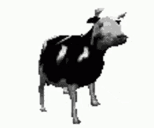 Dancing Cow Gifs Tenor