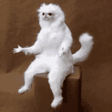 photo Puppet Meme Shocked tenor