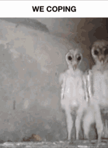 It means that if a person is … Coping Gifs Tenor