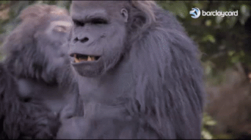 Dancing Monkey Dance Gif Dancing Monkey Dance Gorilla Discover Share Gifs