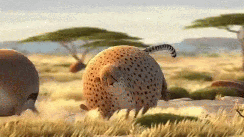 Big Animals Gifs Tenor
