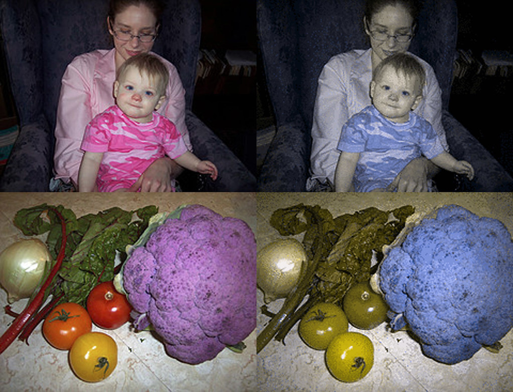 Window blinds add a lot of character to a room. Colorblind Image Filter: How a Person with Protanopia Sees