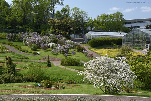 Photo patrice saucourt / l'est républicain. Jardin Botanique Jean-Marie Pelt | GÃ©ographie Ville : Villerâ¦ | Flickr