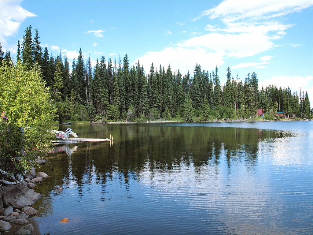 Discover the best of granville island, including free kids' activities, shopping, dining, and sightseeing, and special annual events (with a map). Rail Lake, BC | After looking around at Rail Lake we