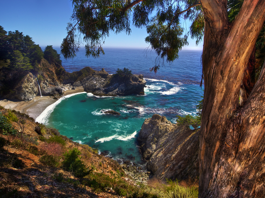 Hgtv's log cabin living follows one family as they ditch the hustle and bustle of the city and go in search of the the perfect log home retreat. McWay Falls, Julia Pfeiffer Burns State Park - Big Sur, CA